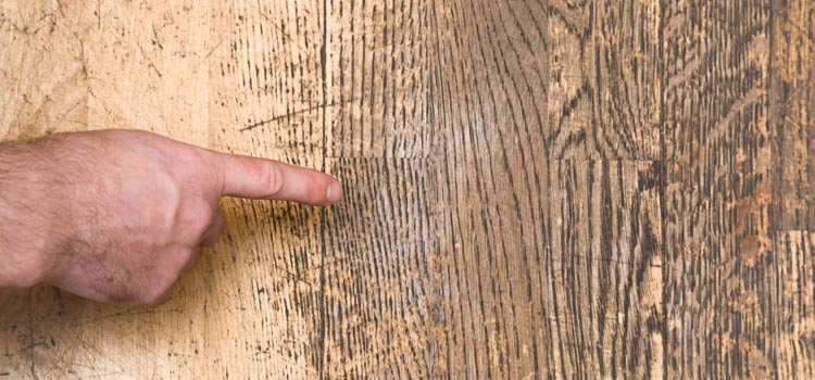 Wood Door Scratch Repair in Pomona